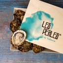 perles 33pz (vlc) (2).jpg