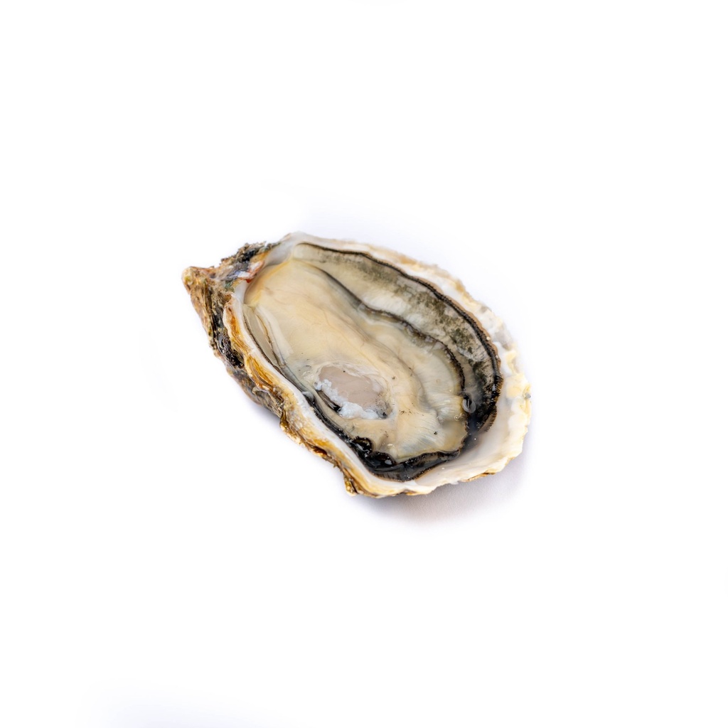 perles valencia 6 y 33pz.jpg