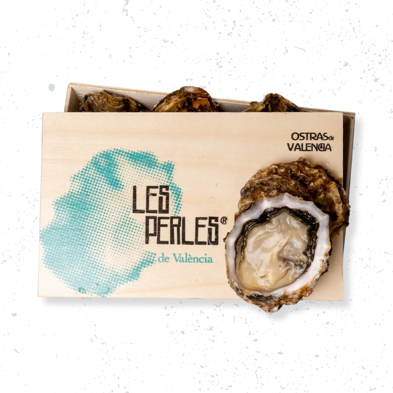 ​Box 6 units Medium Pearls of Valencia